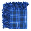 American Patriot Tartan Fly Plaid